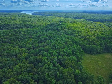 A once in a lifetime opportunity in Southern Monroe County! This - photo 6
