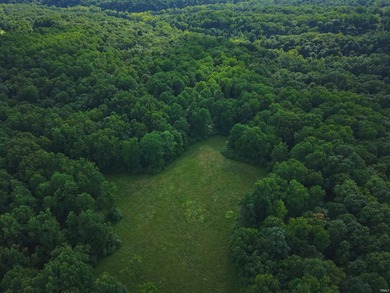 A once in a lifetime opportunity in Southern Monroe County! This - photo 8