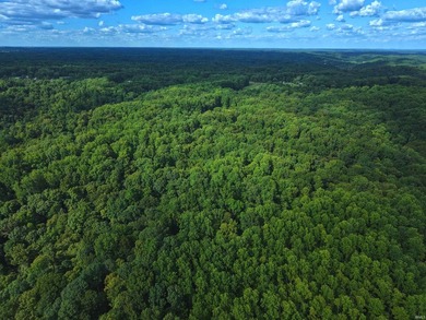 A once in a lifetime opportunity in Southern Monroe County! This - photo 9