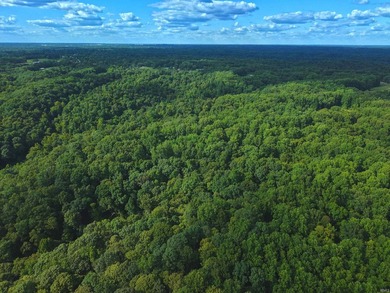 A once in a lifetime opportunity in Southern Monroe County! This - photo 10