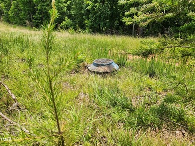 A generous 15.22-acre multiple lots strategically situated just - photo 13