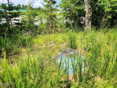 A generous 15.22-acre multiple lots strategically situated just - photo 14