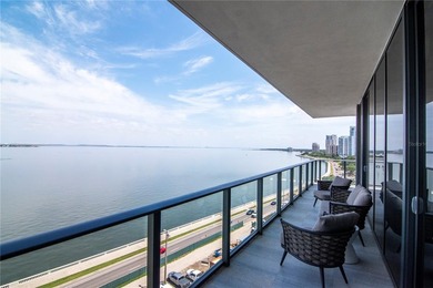 Soaring above the Iconic Bayshore Boulevard on Hillsborough Bay - photo 29