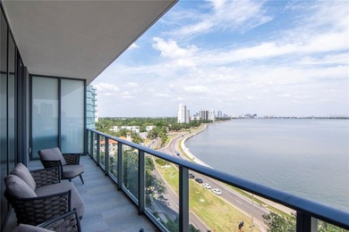 Soaring above the Iconic Bayshore Boulevard on Hillsborough Bay - photo 30