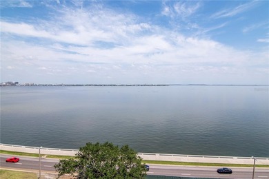 Soaring above the Iconic Bayshore Boulevard on Hillsborough Bay - photo 31