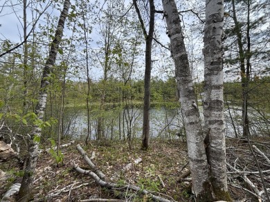 Lake Lot For Sale in Gaylord, Michigan