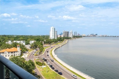 Soaring above the Iconic Bayshore Boulevard on Hillsborough Bay - photo 32