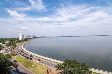 Soaring above the Iconic Bayshore Boulevard on Hillsborough Bay - photo 33