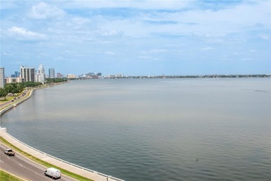 Soaring above the Iconic Bayshore Boulevard on Hillsborough Bay - photo 34