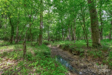 Lake Acreage For Sale in Winnsboro, South Carolina