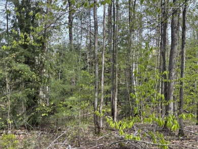 Lake Lot For Sale in Gaylord, Michigan
