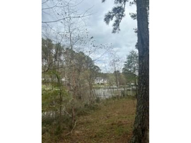 Motivated seller! Build your dream home on this level wooded - photo 5