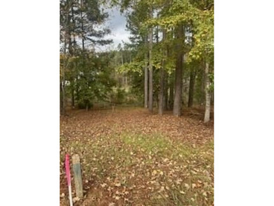 Motivated seller! Build your dream home on this level wooded - photo 7