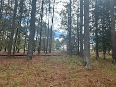 Motivated seller! Build your dream home on this level wooded - photo 8