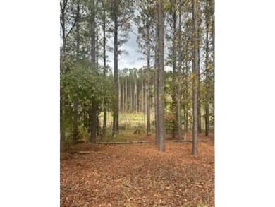 Motivated seller! Build your dream home on this level wooded - photo 9