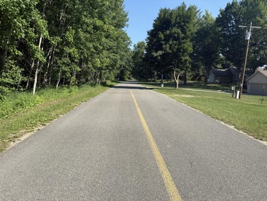 Canadian Lakes Lot For Sale in Stanwood Michigan