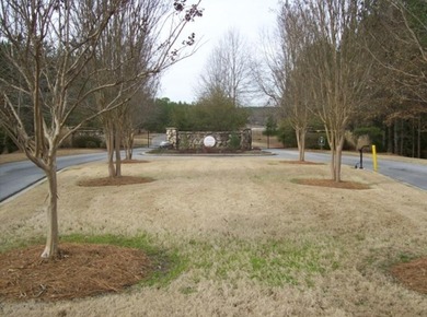 Build Your Dream Home in Eagles Harbor! Discover the perfect - photo 3