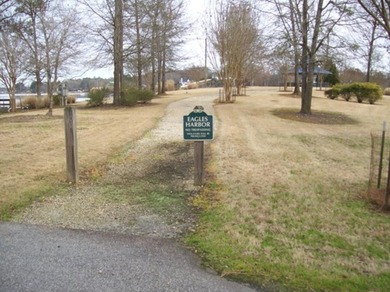 Build Your Dream Home in Eagles Harbor! Discover the perfect - photo 6
