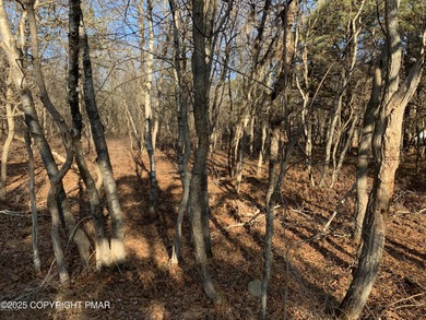 Indian Mountain Lakes Lot For Sale in Albrightsville Pennsylvania