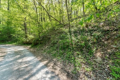 Tucked away just minutes from Center Hill Lake, this vacant lot - photo 11