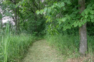 Own your own slice of paradise just an hour or so north of the - photo 24