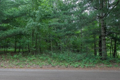 Own your own slice of paradise just an hour or so north of the - photo 40