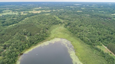 Own your own slice of paradise just an hour or so north of the - photo 46