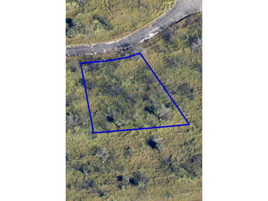 Oversized Lot | 12,632 +/- sq ft | Build Your Dream Home Quiet - photo 3