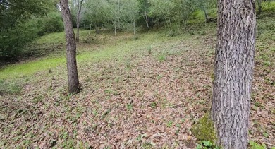 Rare opportunity in Bear Creek Estates! Sunny end-of-cul-de-sac - photo 3