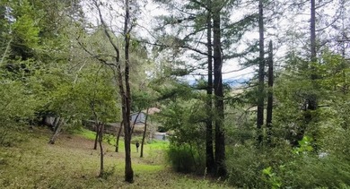 Rare opportunity in Bear Creek Estates! Sunny end-of-cul-de-sac - photo 4