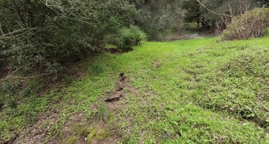 Rare opportunity in Bear Creek Estates! Sunny end-of-cul-de-sac - photo 6