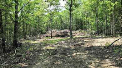 Lake Acreage For Sale in Mena, Arkansas