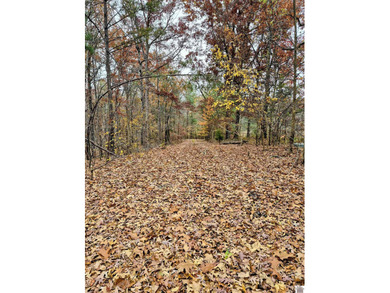 Lake Acreage For Sale in Benton, Kentucky