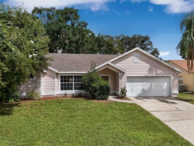 (private lake, pond, creek) Home For Sale in Apopka Florida