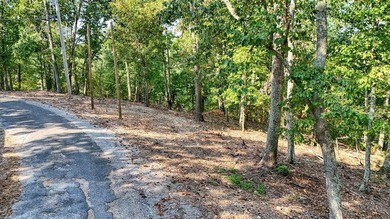 Kentucky Lake Lot For Sale in Eva Tennessee