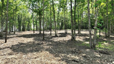 Lake Acreage For Sale in Mena, Arkansas