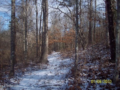 25 Acres on Lafayette Lake- Only 10 Minutes From Oxford, MS! - photo 2