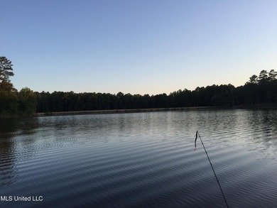 25 Acres on Lafayette Lake- Only 10 Minutes From Oxford, MS! - photo 5