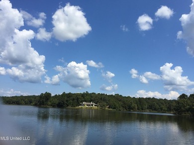 25 Acres on Lafayette Lake- Only 10 Minutes From Oxford, MS! - photo 6
