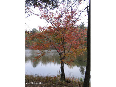25 Acres on Lafayette Lake- Only 10 Minutes From Oxford, MS! - photo 7