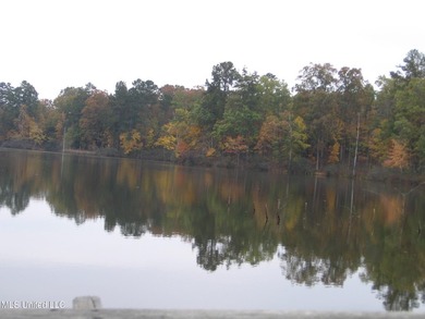 25 Acres on Lafayette Lake- Only 10 Minutes From Oxford, MS! - photo 8