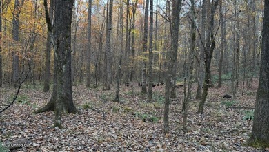 25 Acres on Lafayette Lake- Only 10 Minutes From Oxford, MS! - photo 9