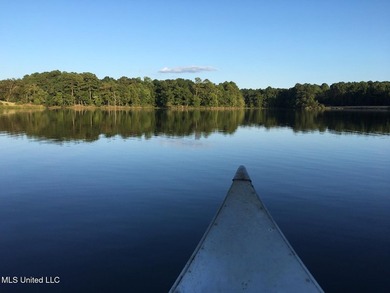 25 Acres on Lafayette Lake- Only 10 Minutes From Oxford, MS! - photo 10