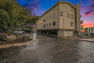 Lake Michigan - LaPorte County Condo For Sale in Michigan City Indiana