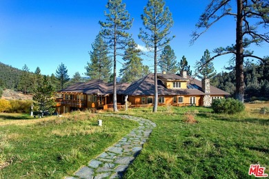 Do not contact owner, call agent we still represent the owner!! - photo 4