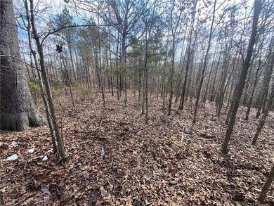 Buffalo River Acreage For Sale in Hasty Arkansas