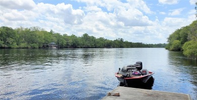 Lake Acreage For Sale in Old Town, Florida