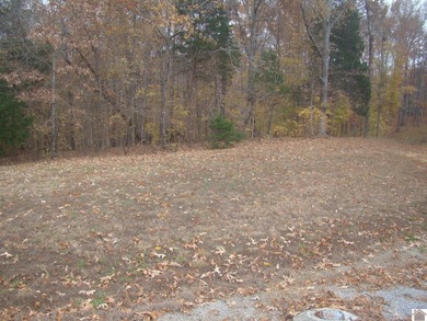 Lake Acreage For Sale in Cadiz, Kentucky