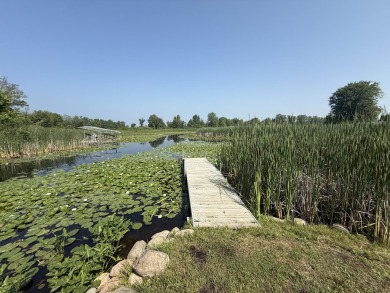 Lake Lot For Sale in Coldwater, Michigan