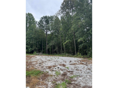 Lake Lot For Sale in Waterloo, South Carolina